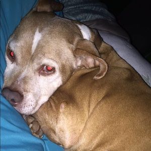 Meet your Posher, Alysin